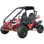 GK-W006 150cc Go Kart with Automatic Transmission w/Reverse! Electric Start! Disc Brakes, Big 19"/18" Wheels!