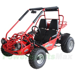 Free Shipping! GK-M39 200cc Go Kart with Automatic Transmission w/Reverse! Big 20"/22" Wheels!