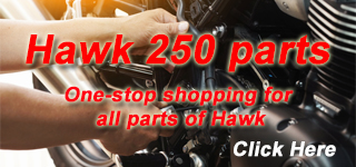 Hawk 250 EFI Parts